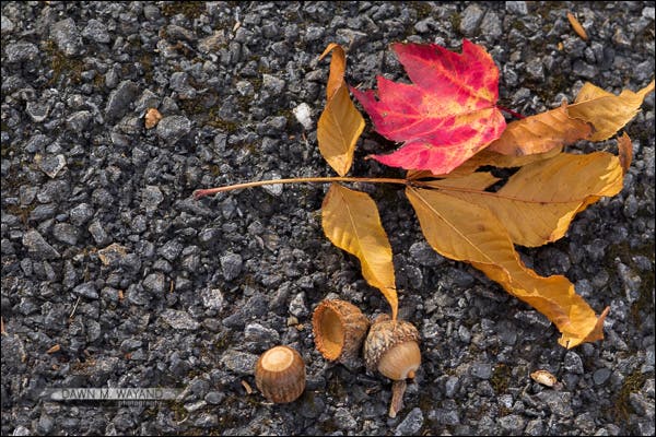 19-colors-contrasts