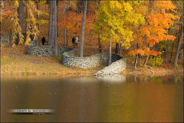 24-lens-choice-03