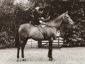 old photo of a woman riding a horse