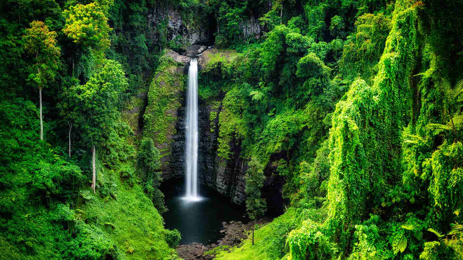 Samoa by Chris McLennan