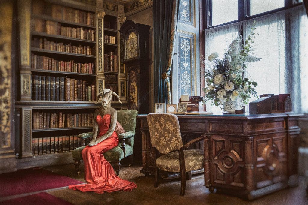 New Year's Resolutions for Pro Photographers - Back up your work