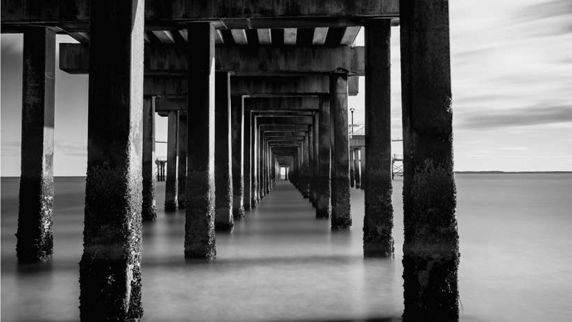 Photo credit: Al Espinosa