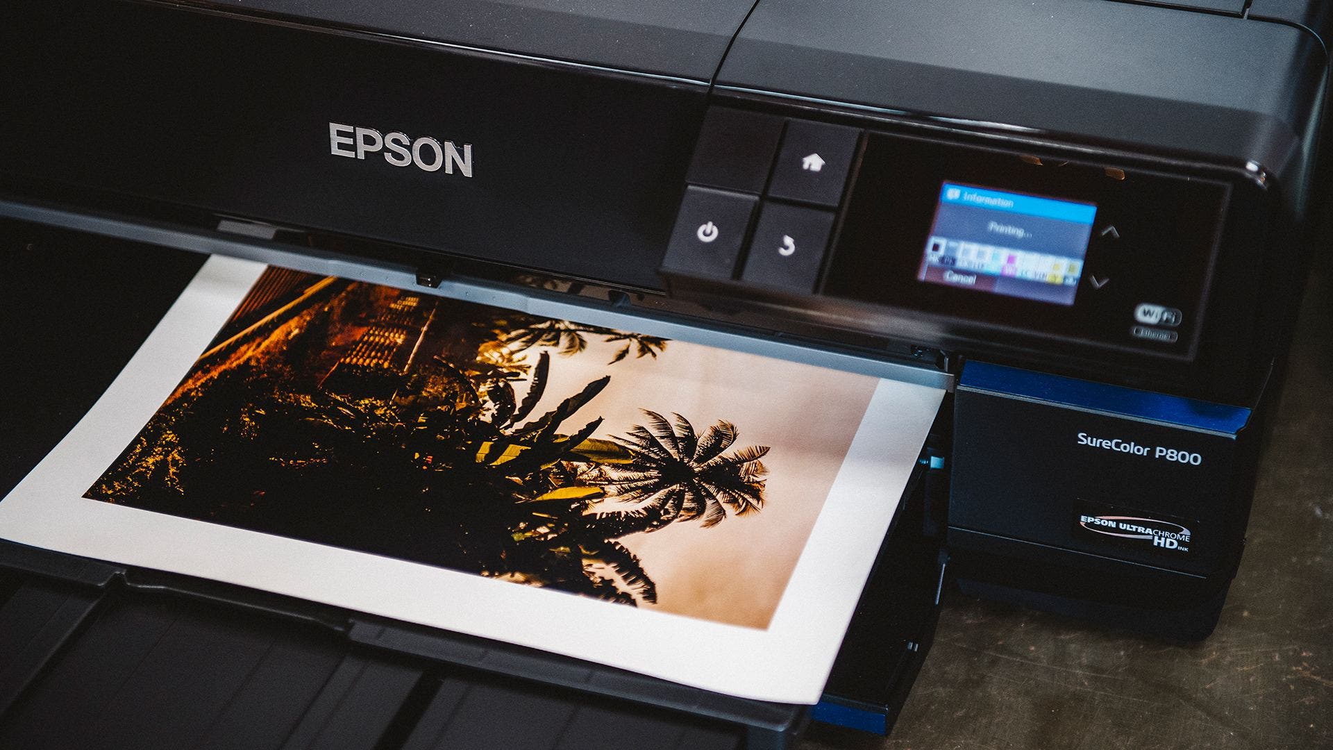 Epson SureColor P800 UltraChrome HD Inkjet Printer W/Epson Roll Media