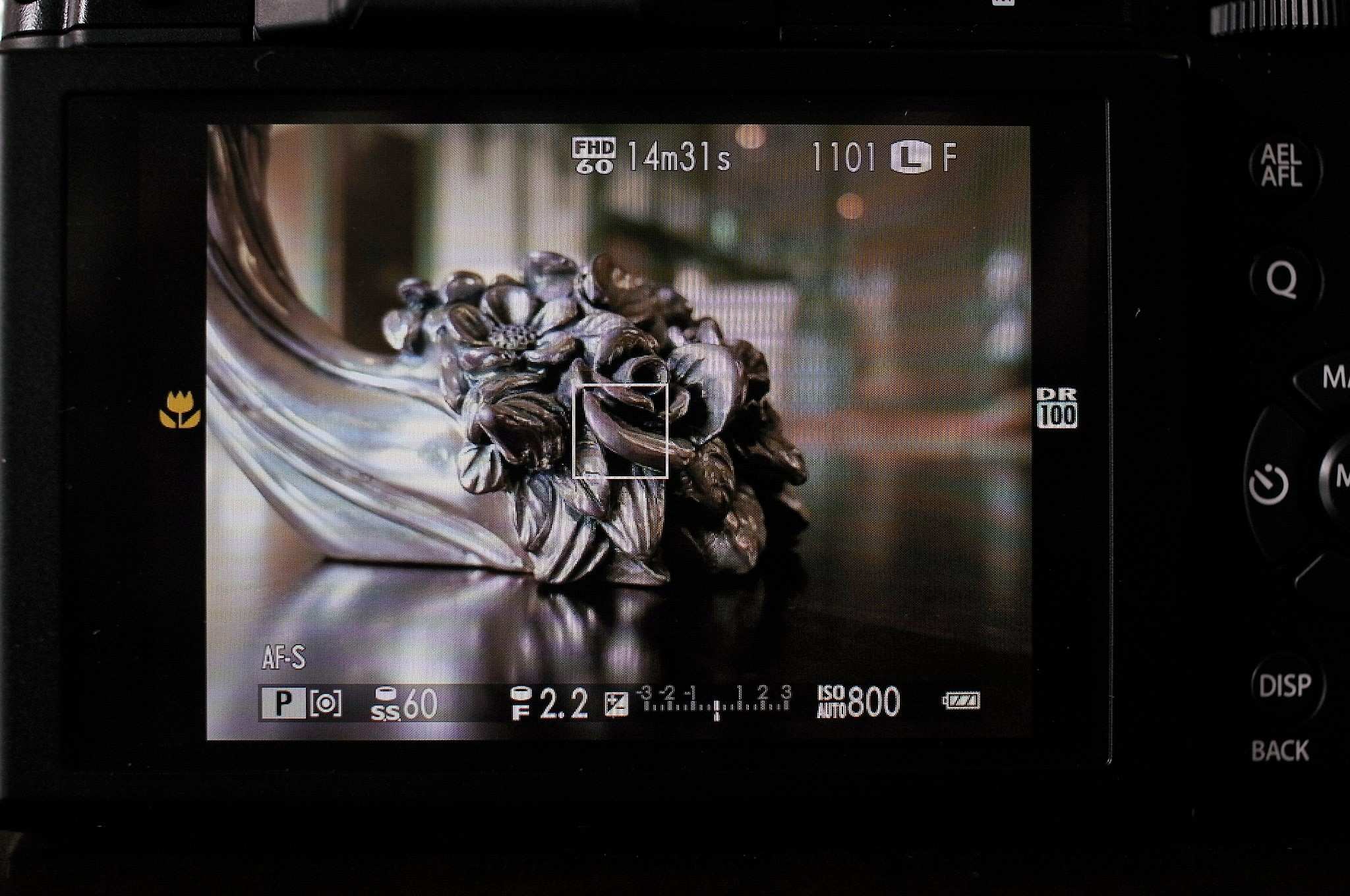 What is an EVF? 42 West, the Adorama Learning Center