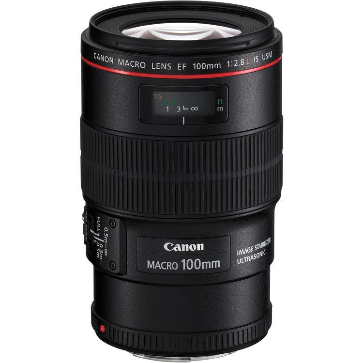 Best Canon Lenses For Wedding Photography 42 West, the