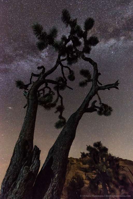 how to shoot the night sky, milky way