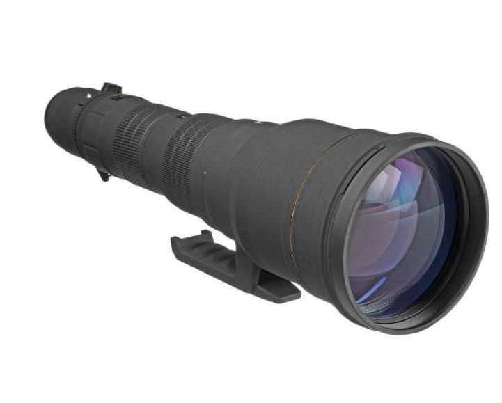 best sigma lens Sigma 300-800mm f/5.6