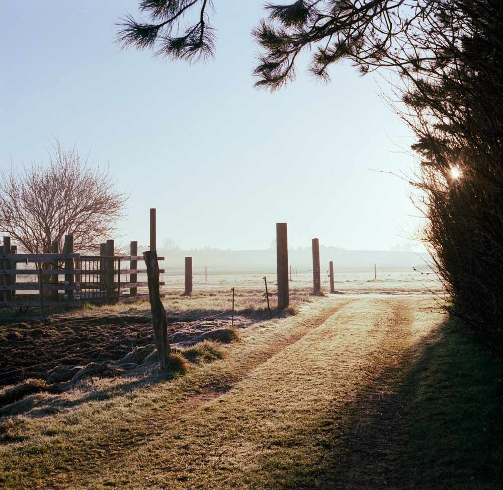 5 best medium format digital cameras alc medium format landscape photography