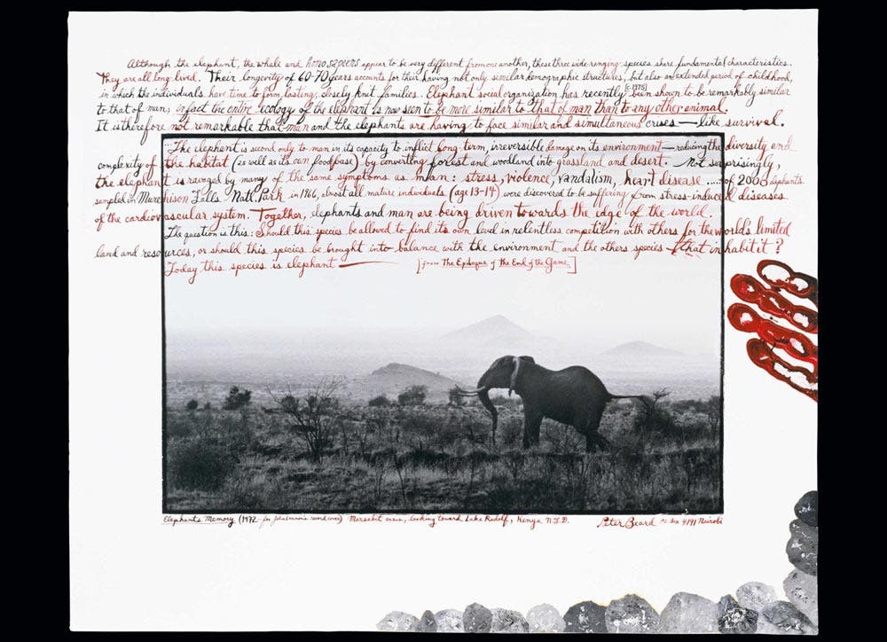 peter beard by nejma beard must-read books for photographers