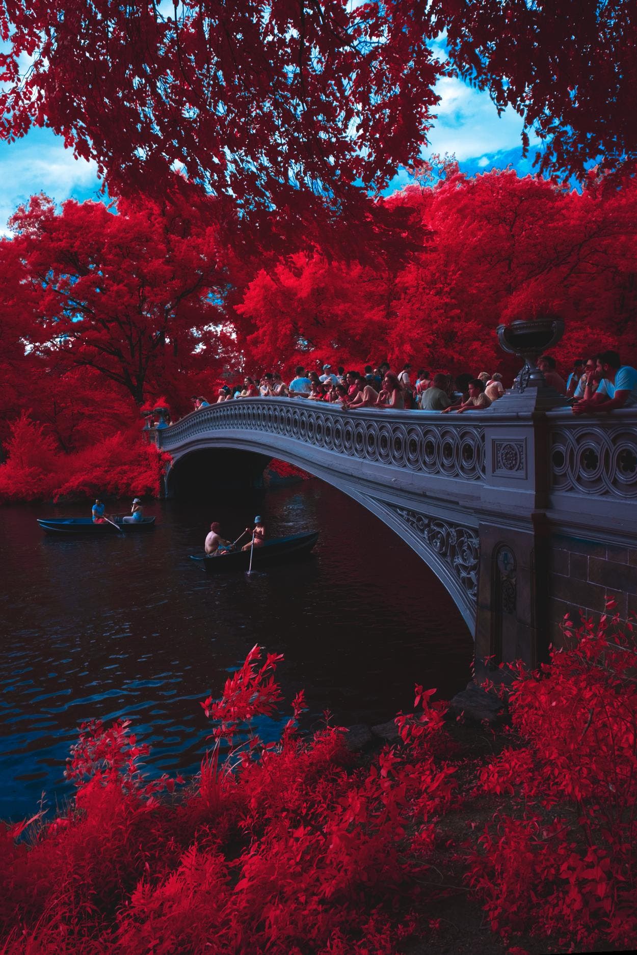 shop the shot, al espinosa, infrared