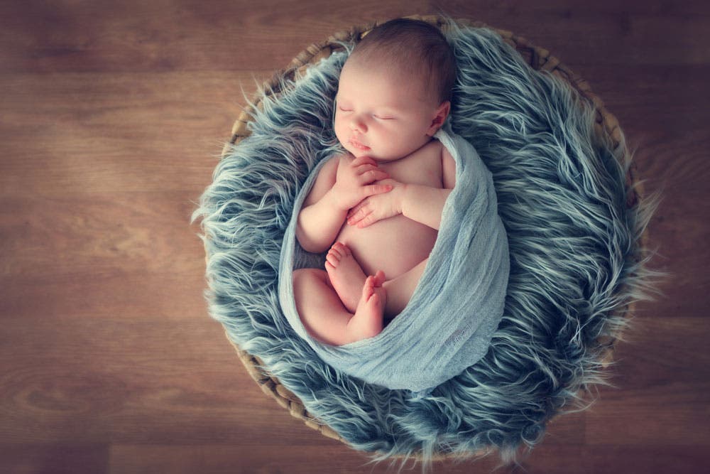 Baby Photoshoot Newborn Curled Up In Basket
