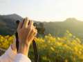 shooting field of flowers with full frame mirrorless camera