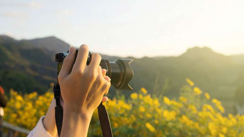 shooting field of flowers with full frame mirrorless camera