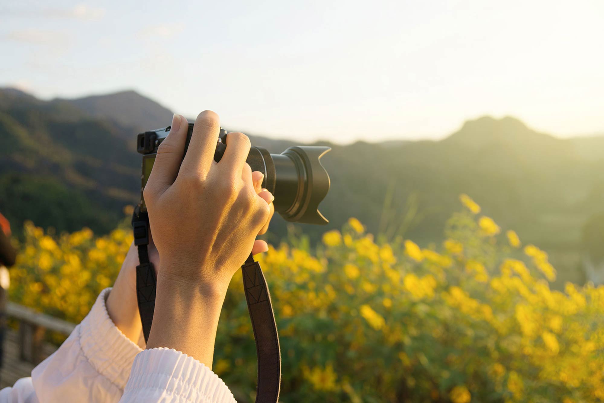 shooting field of flowers with full frame mirrorless camera