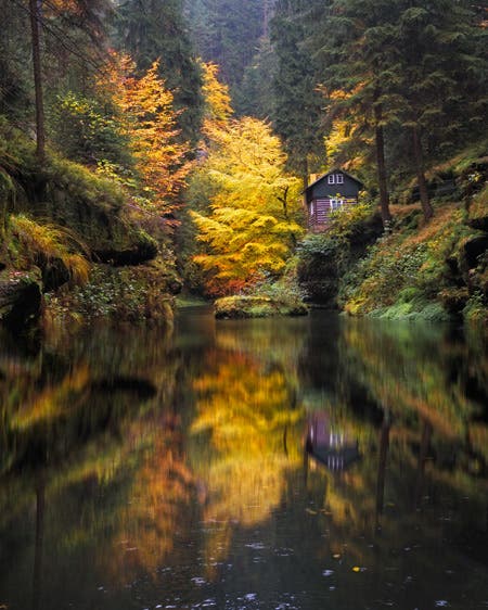 forest travel and nature photography