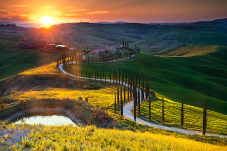 sunrise green feels travel photography