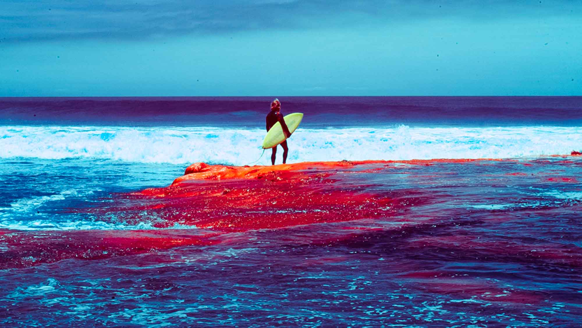 exploring in baja infrared photography