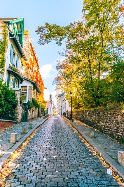cobblestoned path street photography