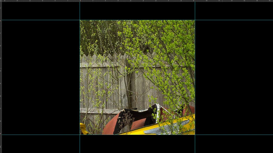 medium format photography crop