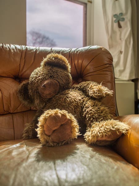 teddy bear on couch medium format photography