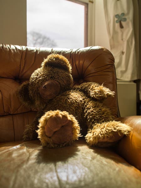 teddy bear on couch medium format photography