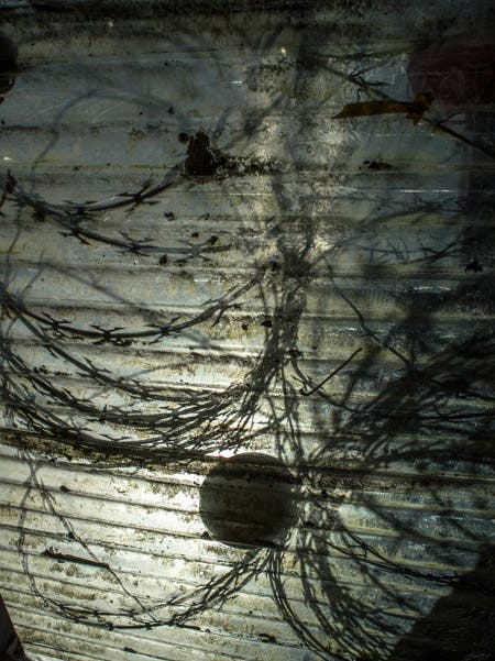 shadows medium format photography