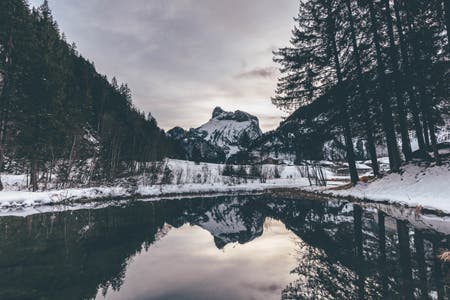 mountain and trees travel photography