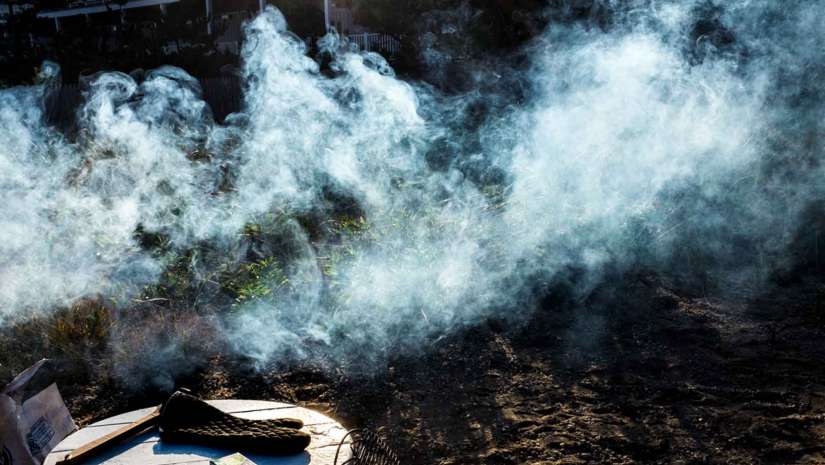 smoke burning grass