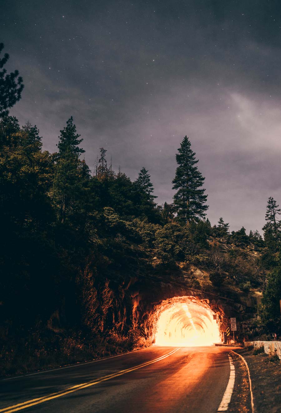 forest and tunnel travel photography