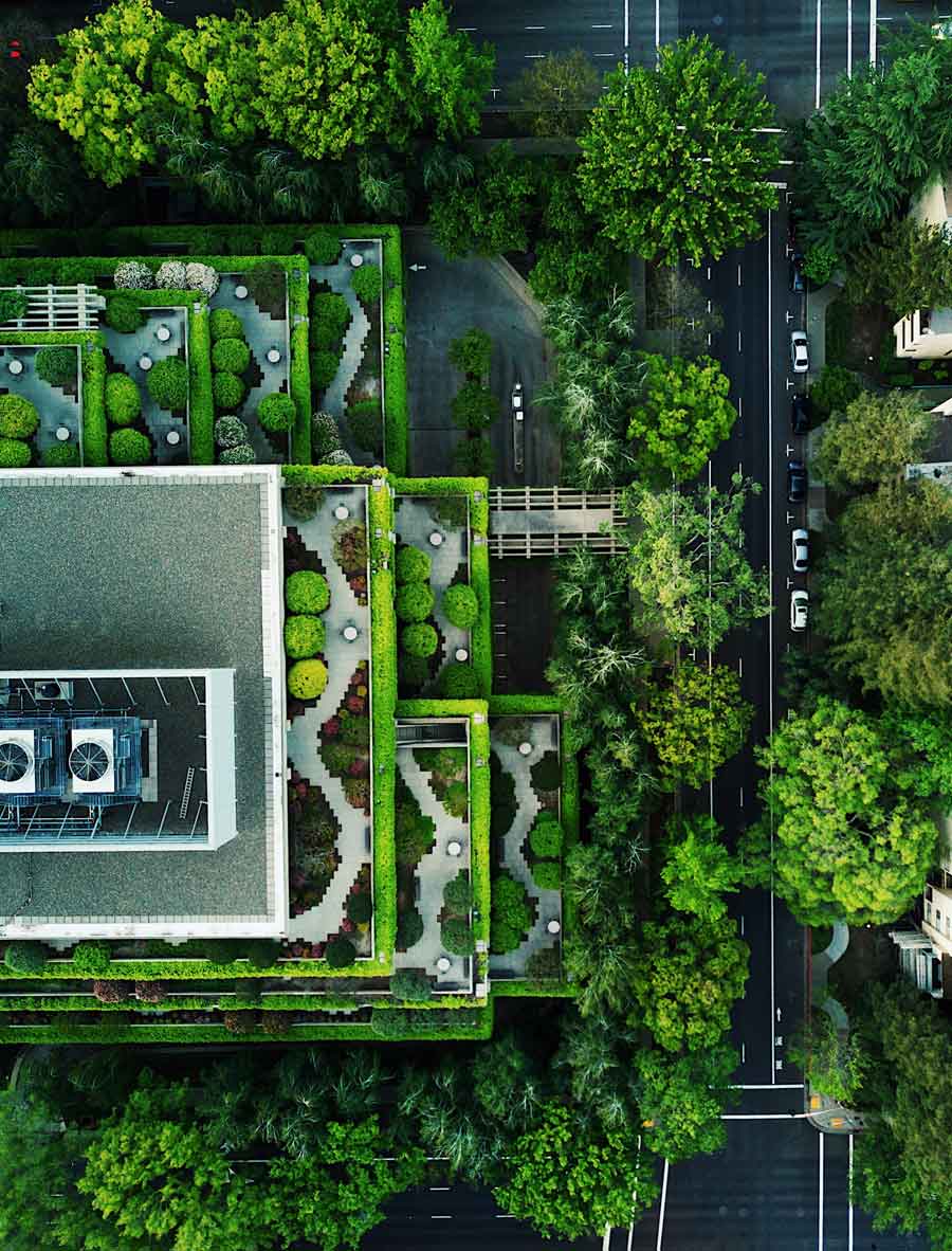 building and trees drone photography