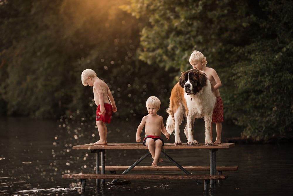 Three young boys sitting on a bench in the water with their dog