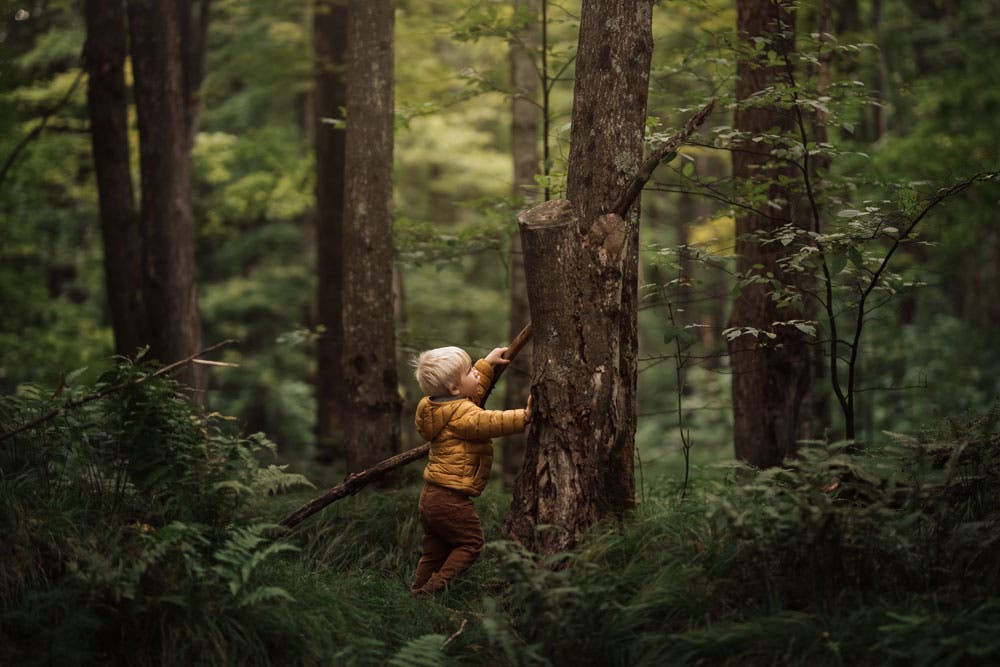 young boy reaching for a branch in the forest