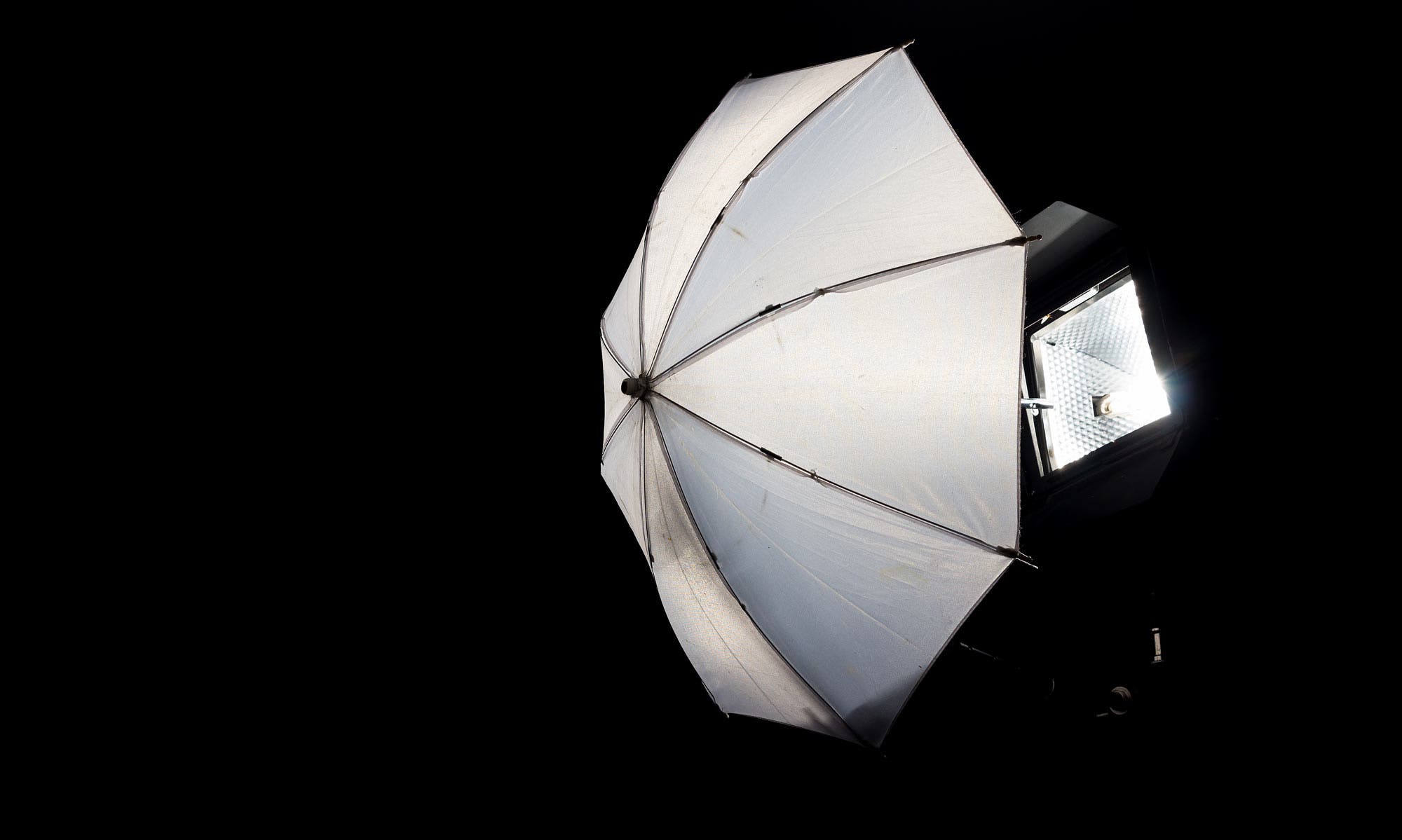 umbrella lighting photography