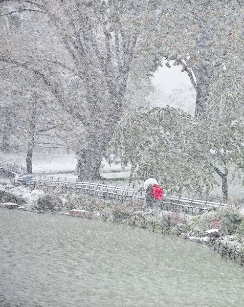 snowstorm in central park new york city