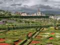 vegetable garden in villandry
