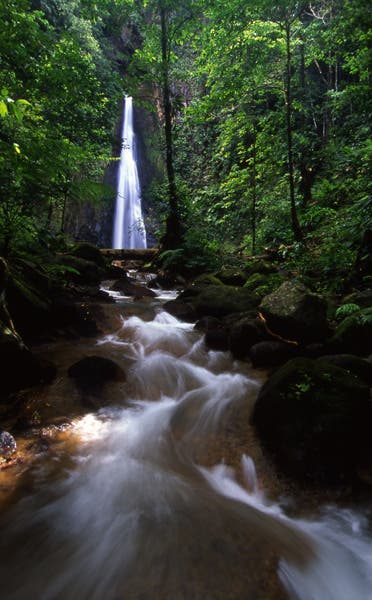 stream flowing in dominica