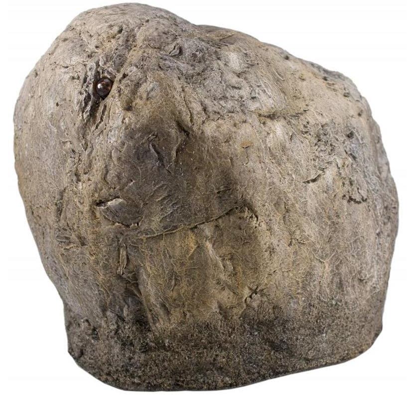 rock hidden camera