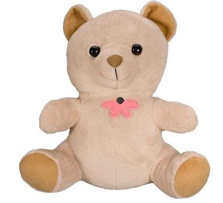 teddy bear hidden camera