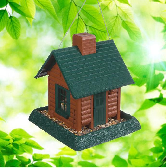 bird house hidden camera