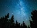 forest trees framing galaxy stars in night sky