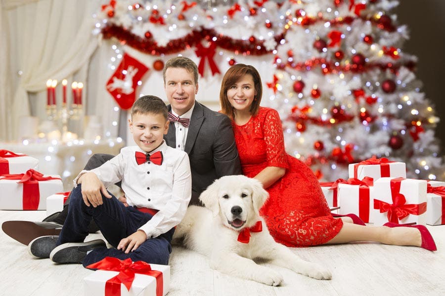 23 creative ideas for your family holiday card adorama learning center formal family christmas photo ideas