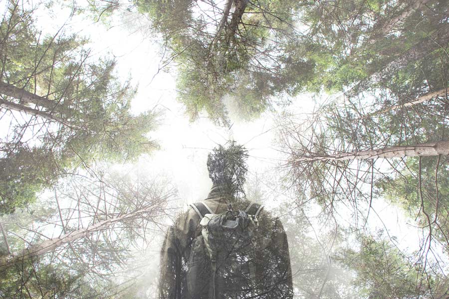 Double exposure of man and worm’s eye view of misty forest