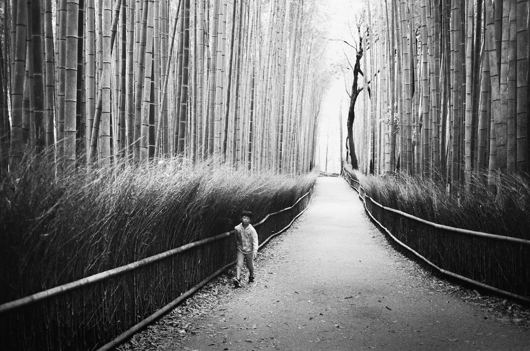 Photo by Jamal Burger