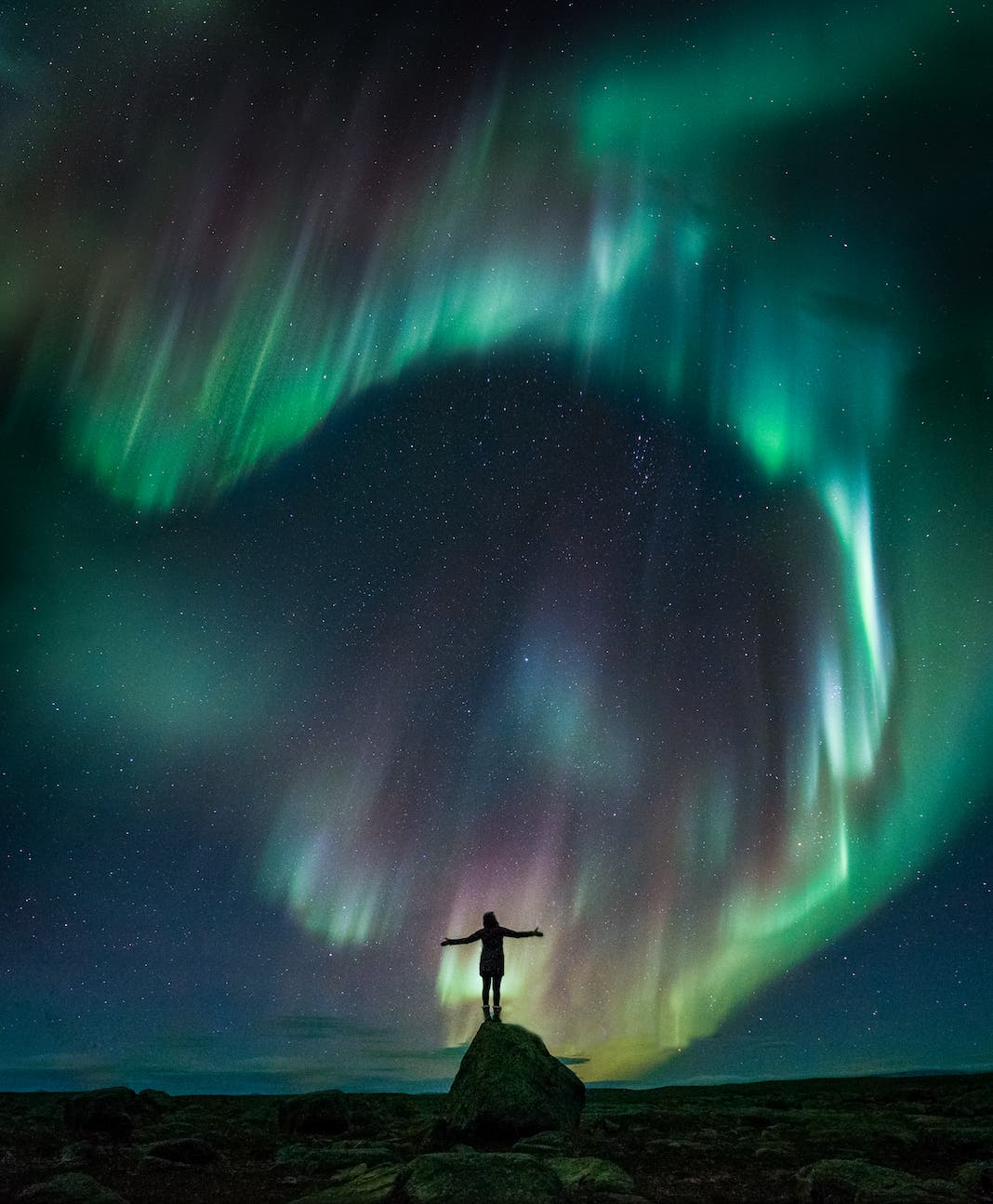 Elizabeth Gadd