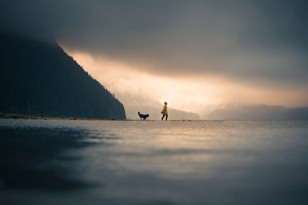Elizabeth Gadd