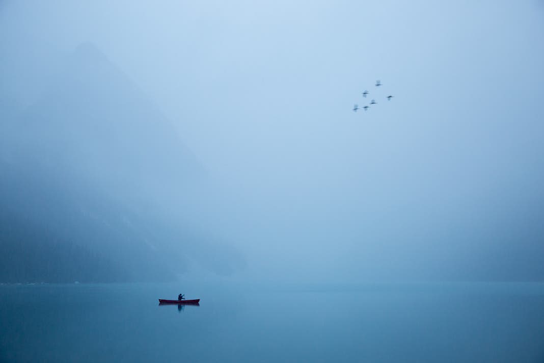 Photo by Wayne Simpson