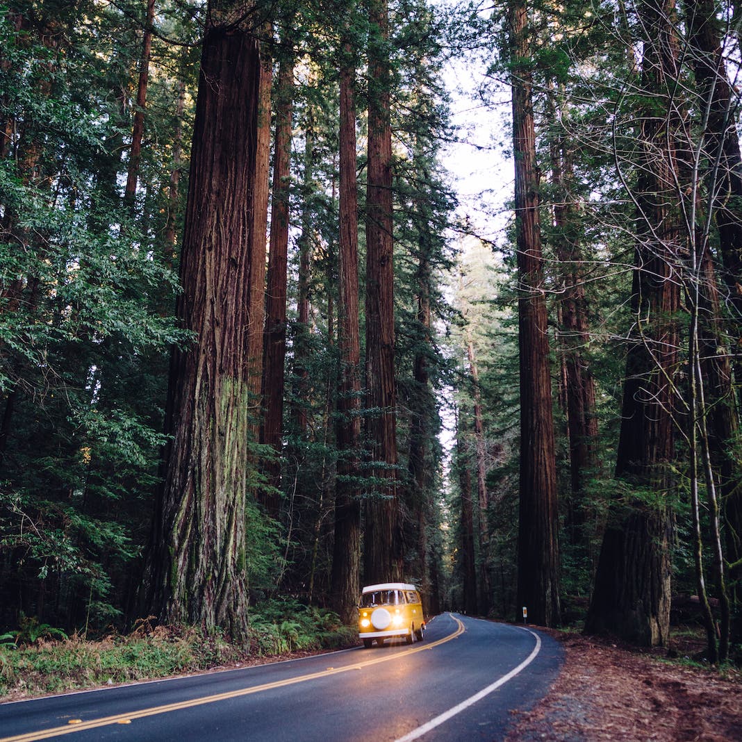 Photo by Andrew Knapp