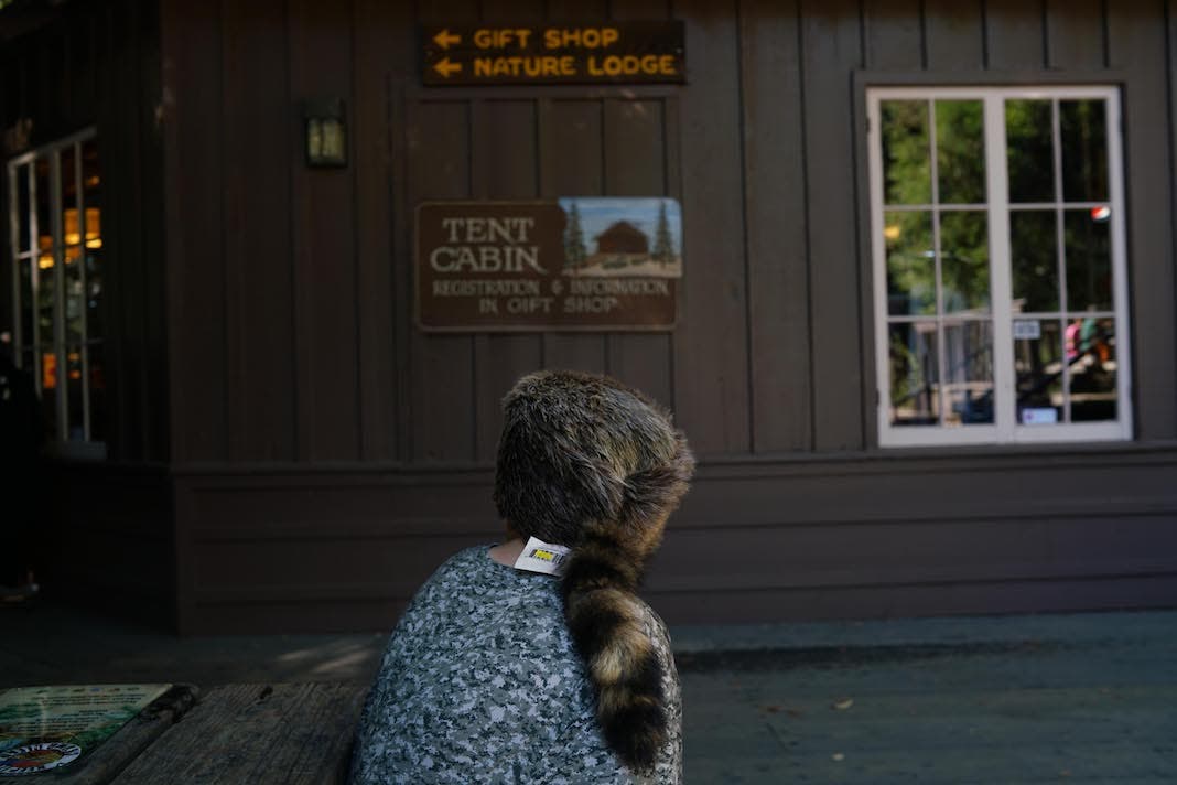 Photo by Judy Walgren