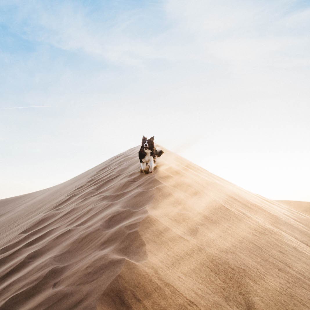 Photo by Andrew Knapp