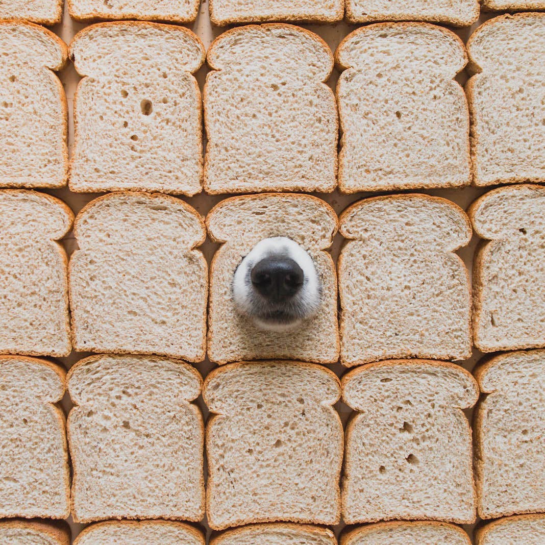 Photo by Andrew Knapp